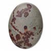 Crazy Horse - Crazy Horse Manufacturer, Wholesale Crazy Horse